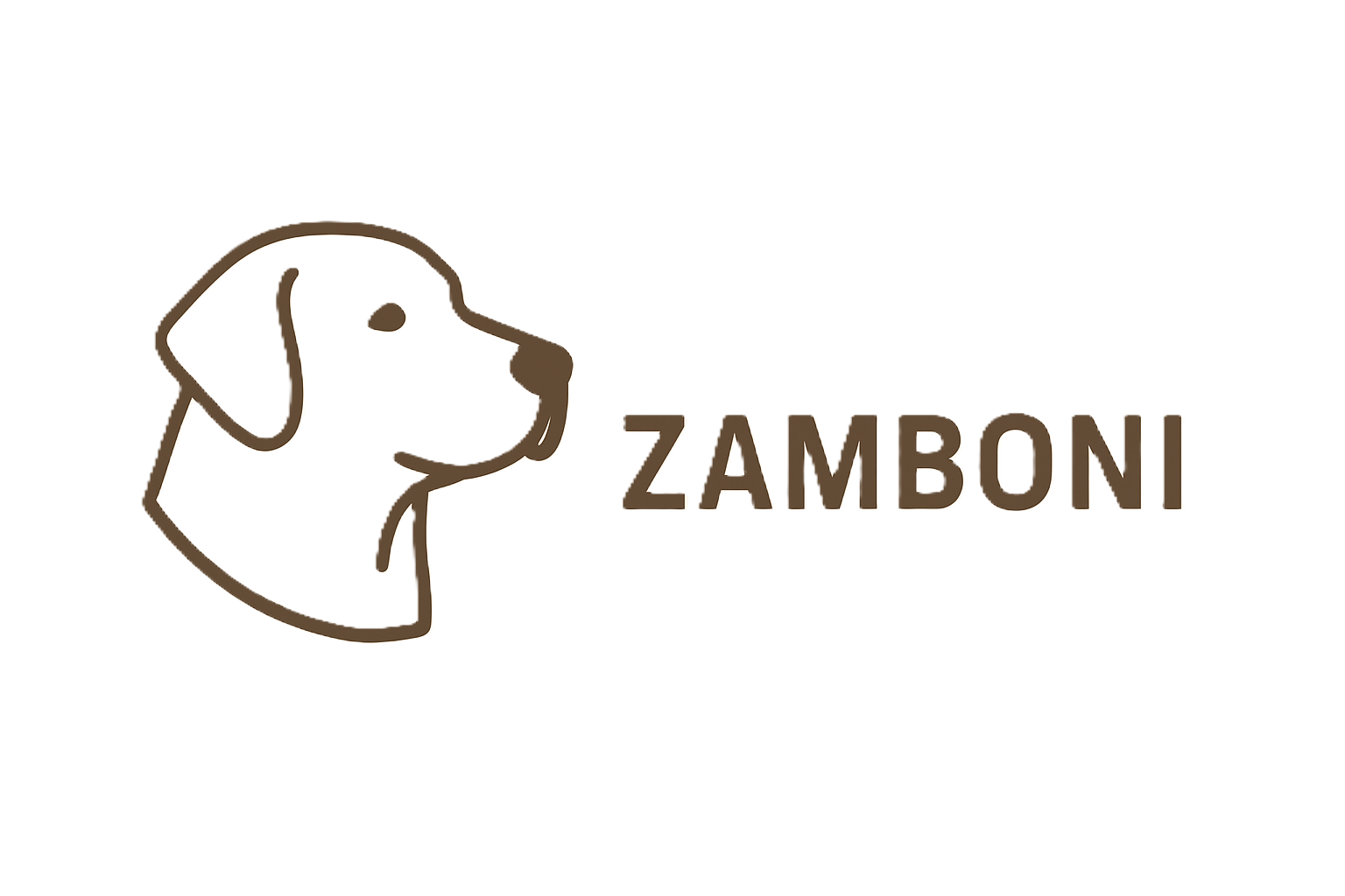 Zamboni Logo Horizontal with a clear background.